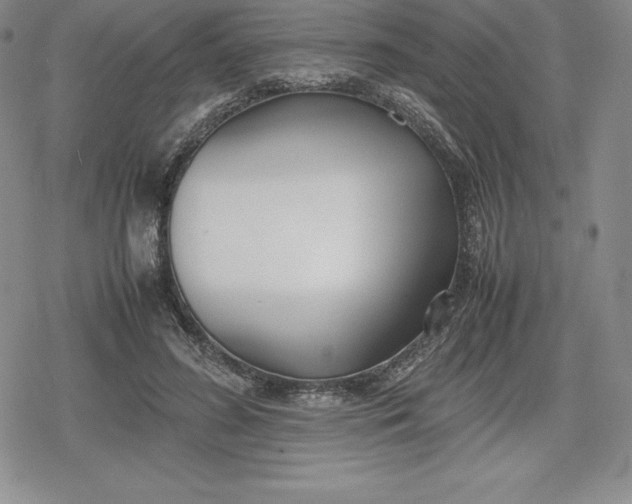 X0000080170596200612221253