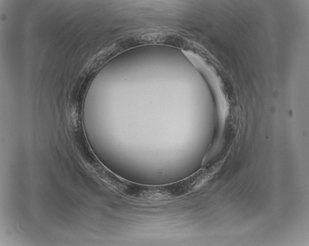 X0000080170597200612221253