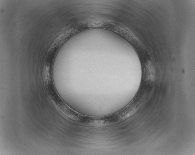 X0000080170598200612221253