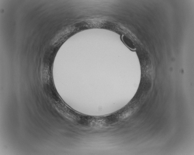 X0000080170599200612221253