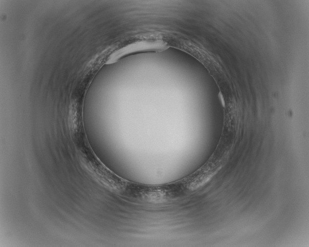 X0000080170600200612221253