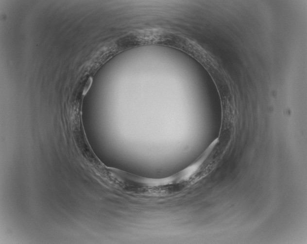 X0000080170601200612221253