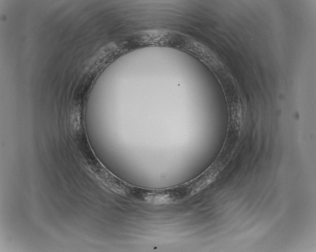 X0000080170602200612221253