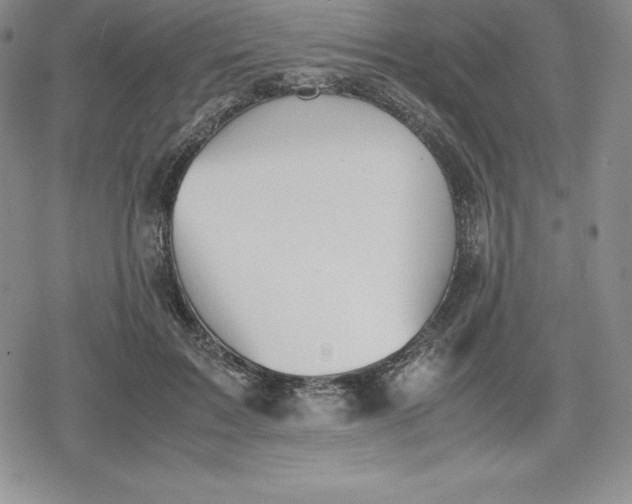 X0000080170603200612221252