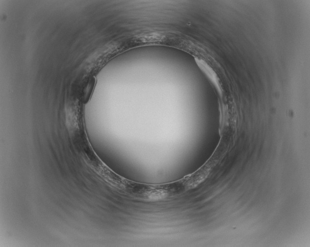 X0000080170604200612221252