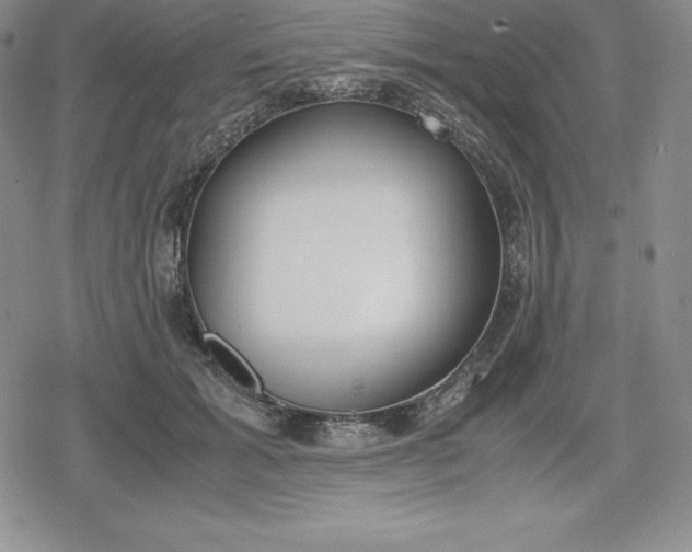 X0000080170605200612221252