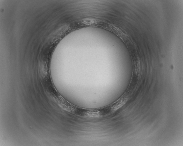 X0000080170606200612221252