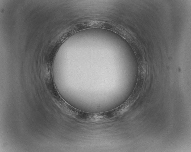 X0000080170607200612221252