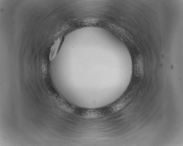 X0000080170608200612221252