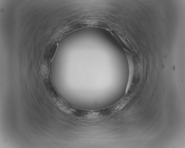 X0000080170609200612221252