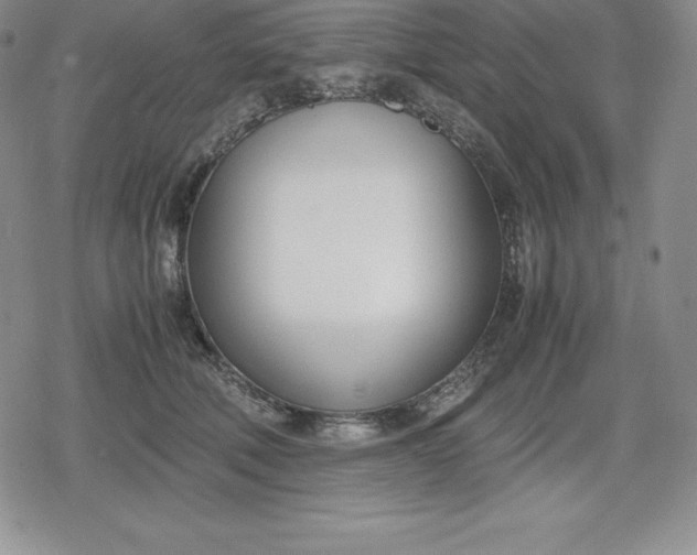 X0000080170610200612221252