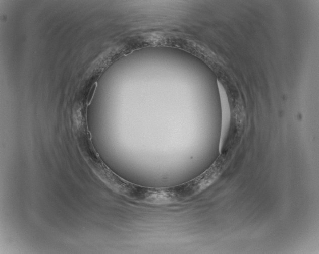 X0000080170611200612221252