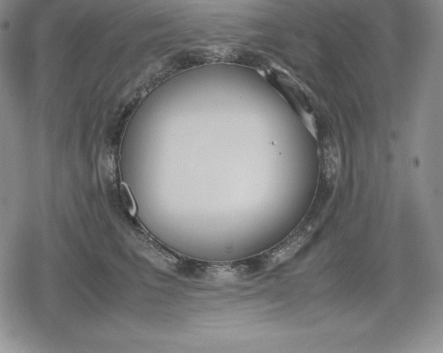 X0000080170613200612221252