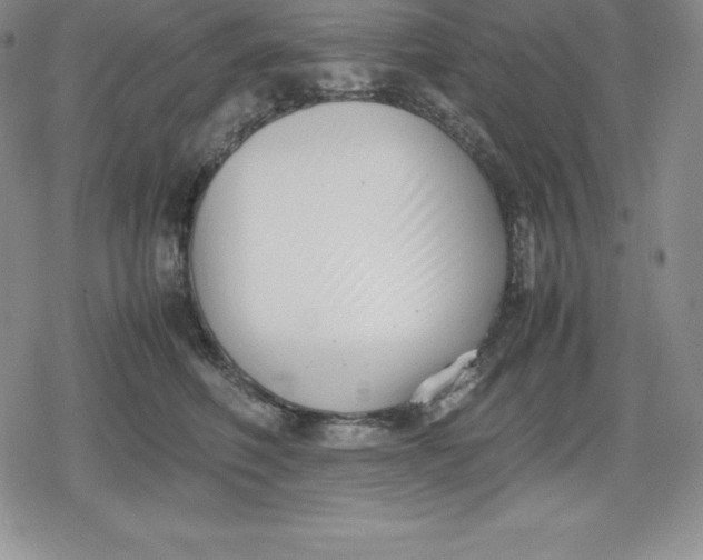 X0000080170614200612221252