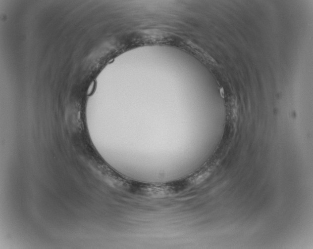 X0000080170615200612221252