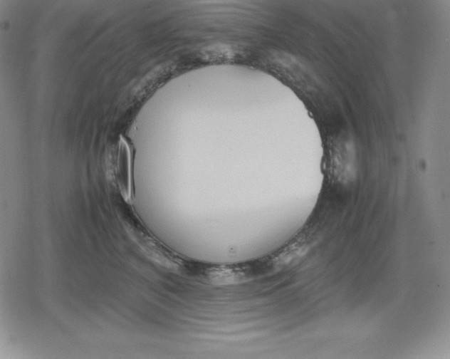 X0000080170616200612221252