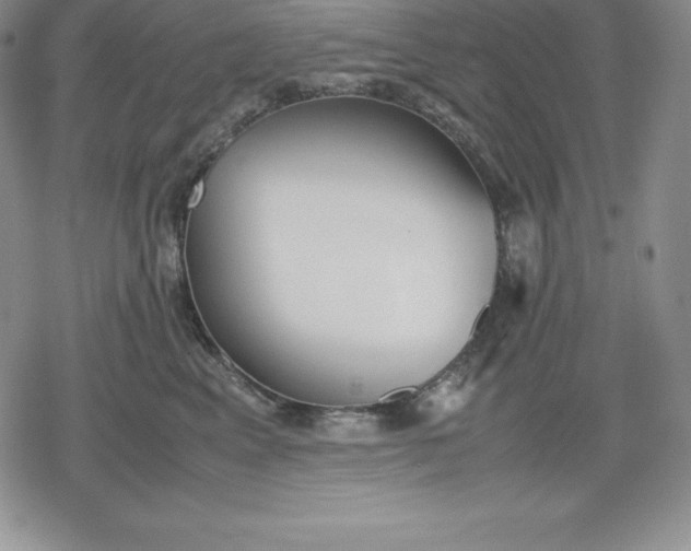 X0000080170617200612221252