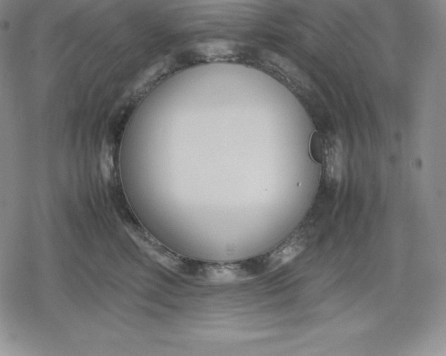 X0000080170618200612221252