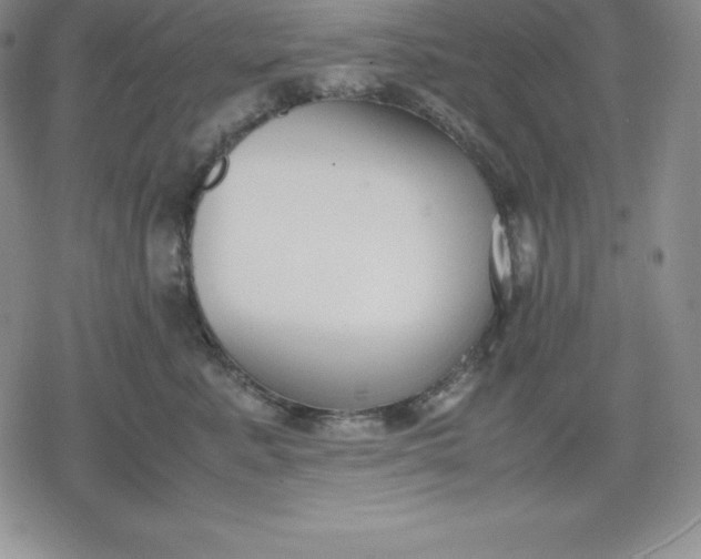 X0000080170619200612221252