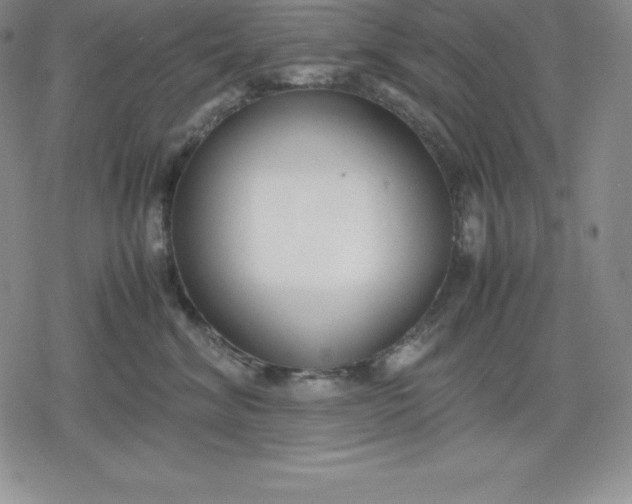 X0000080170620200612221252