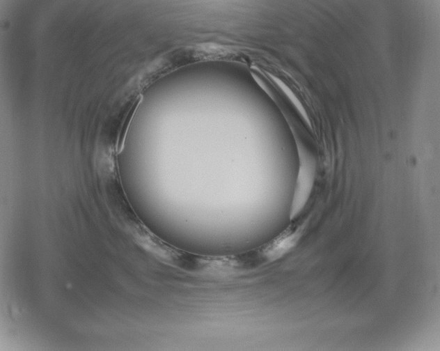 X0000080170621200612221252