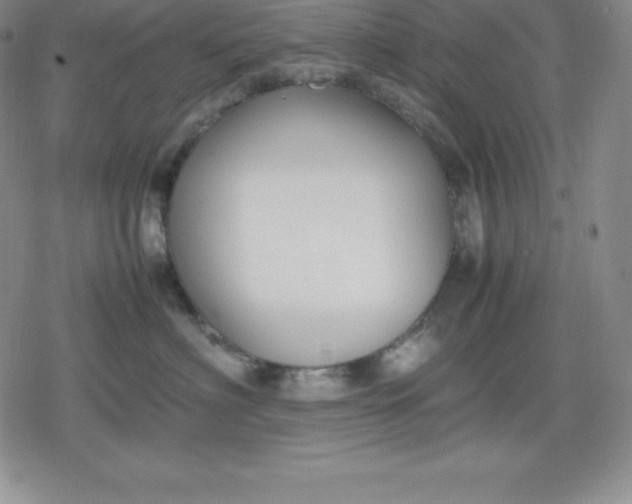 X0000080170622200612221252