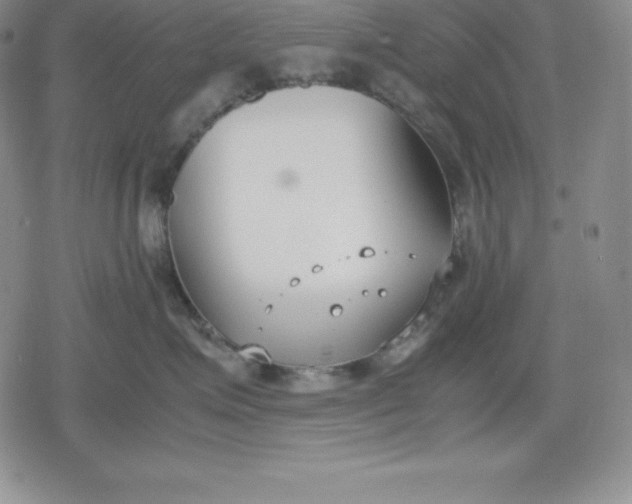 X0000080170623200612221252