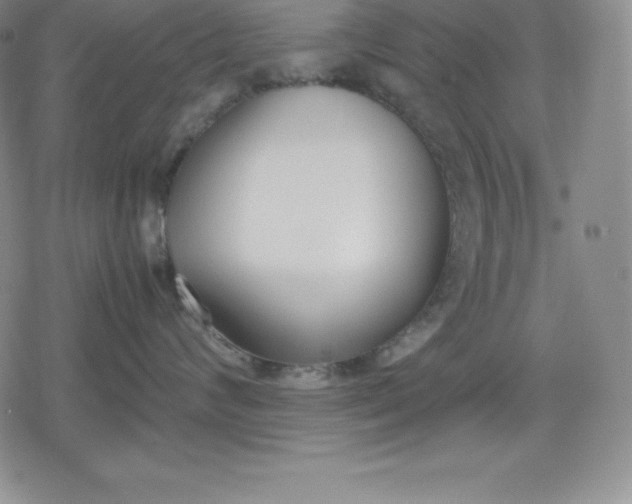 X0000080170624200612221252