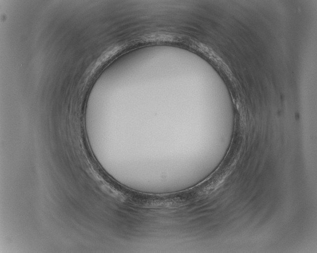 X0000080170625200612221251