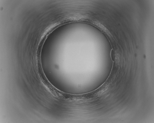 X0000080170626200612221251