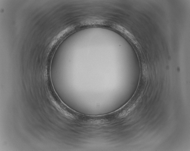 X0000080170629200612221251