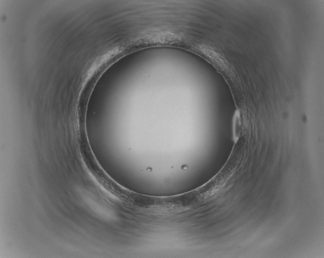 X0000080170630200612221251