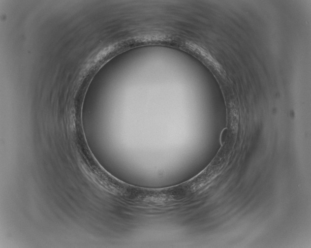 X0000080170631200612221251