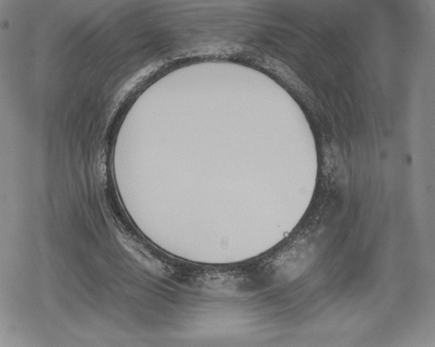 X0000080170632200612221251