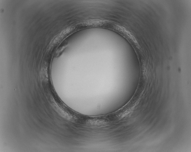 X0000080170633200612221252