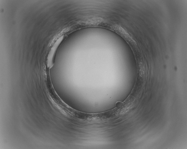 X0000080170634200612221252