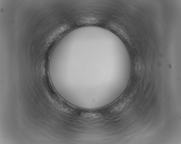 X0000080170635200612221252