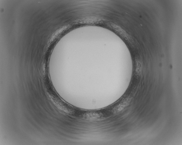 X0000080170636200612221252