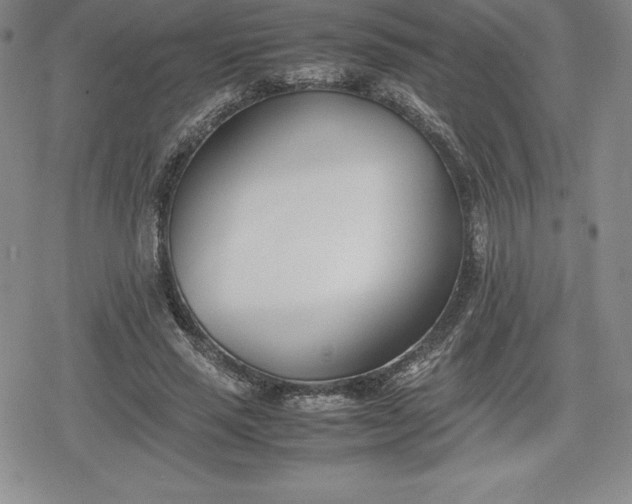 X0000080170637200612221252