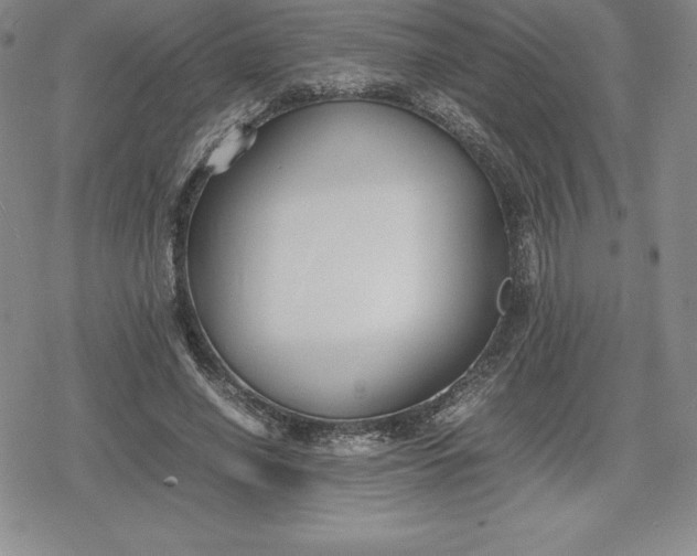 X0000080170638200612221252