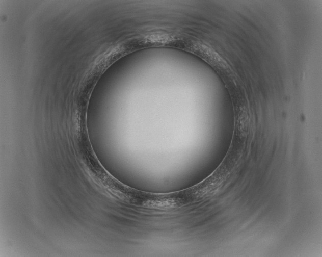 X0000080170639200612221252