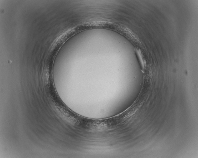 X0000080170640200612221252