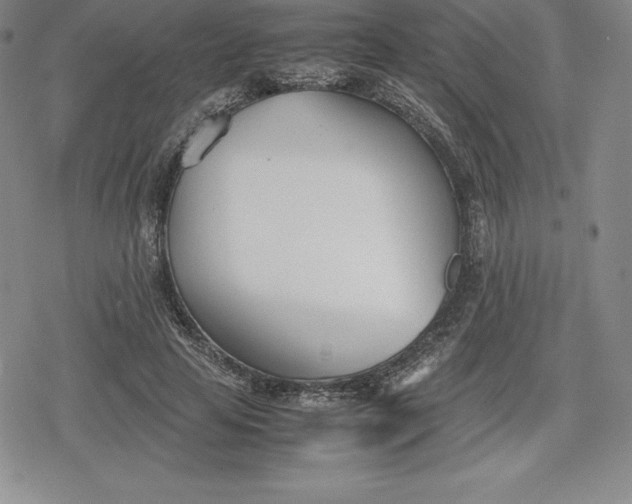 X0000080170641200612221252