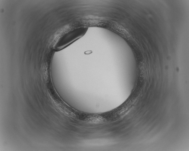 X0000080170642200612221252