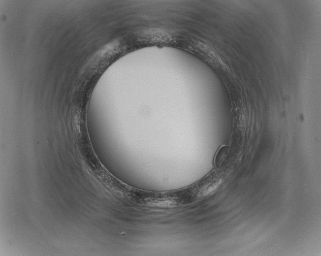 X0000080170643200612221252