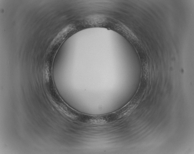 X0000080170644200612221252