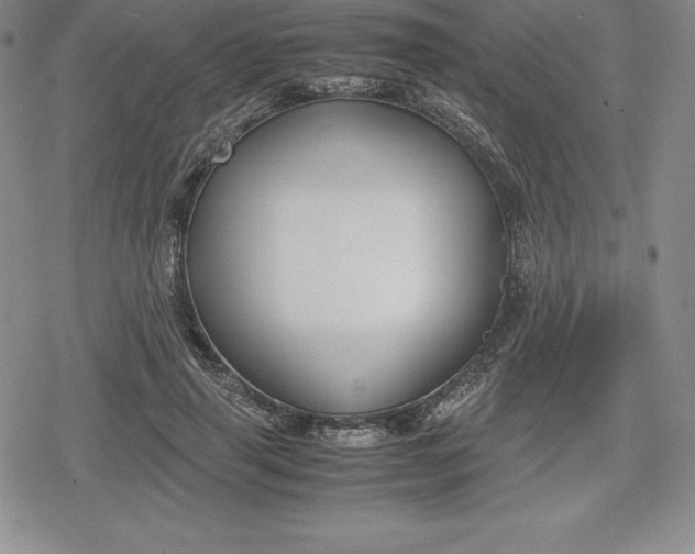 X0000080170645200612221252