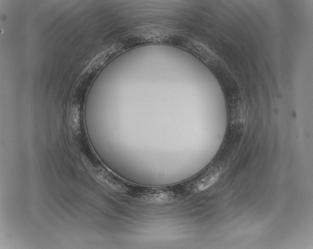 X0000080170646200612221252