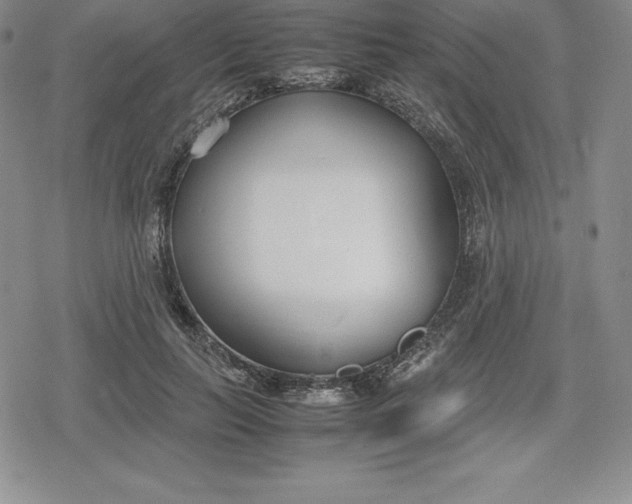 X0000080170647200612221252