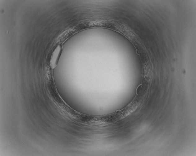 X0000080170648200612221252